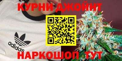 spice Кингисепп