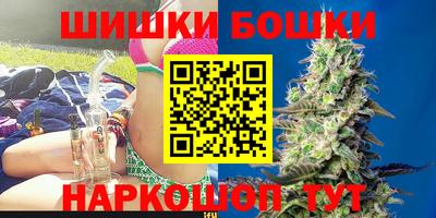 spice Кингисепп