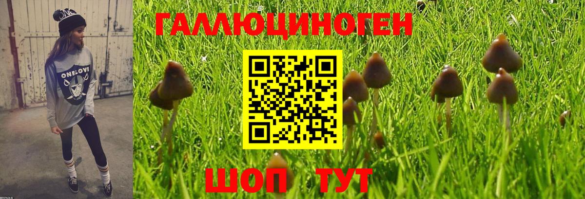 Галлюциногенные грибы Psilocybe  Вход с VPN  Красноуфимск 